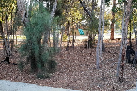 Frasers Landing Lifestyle - Accommodation Coffs Harbour 2