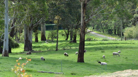 JAN'S ART STUDIO AT ASHBY RISE - Accommodation Coffs Harbour 0