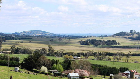 JAN'S ART STUDIO AT ASHBY RISE - Accommodation Coffs Harbour 2