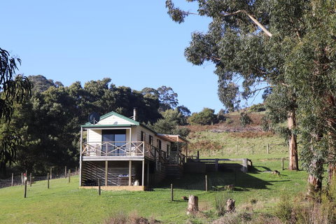 Johanna River Farm & Cottages - Accommodation Coffs Harbour 2