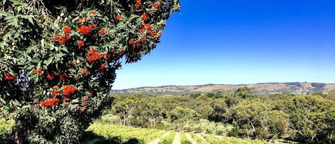 Karawatha Cottages B&B - Accommodation Coffs Harbour 2