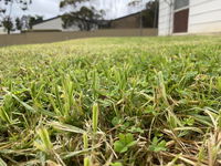 Book Karoonda Accommodation Vacations Accommodation Coffs Harbour Accommodation Coffs Harbour