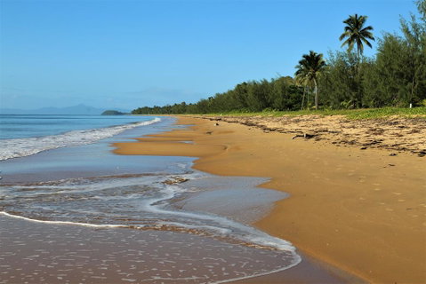 Licuala Lodge - Accommodation Coffs Harbour 1