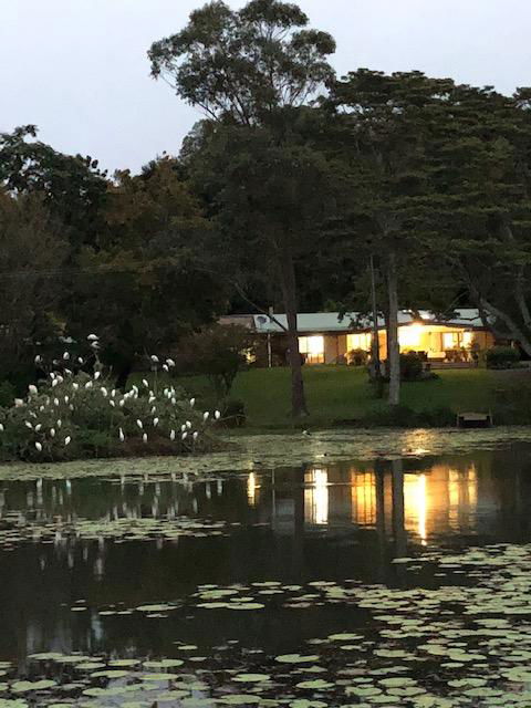 Maleny Lake Cottages-Guesthouse - Accommodation Coffs Harbour 3