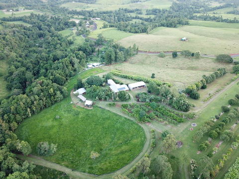 Mena Creek Flower House - Accommodation Coffs Harbour 3