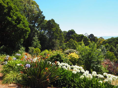 Murrindindi - Accommodation Coffs Harbour 0