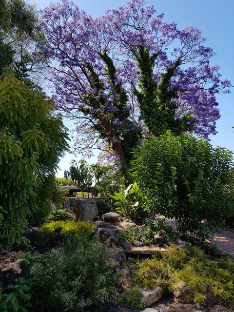 Jacaranda Hideaway Bed & Breakfast - Accommodation Coffs Harbour 10