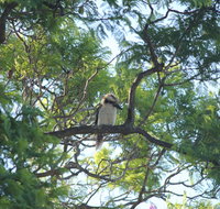 Jacaranda Hideaway Bed  Breakfast - Accommodation Coffs Harbour