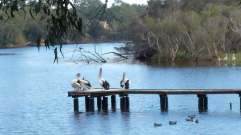 Jacaranda Hideaway Bed & Breakfast - Accommodation Coffs Harbour 18