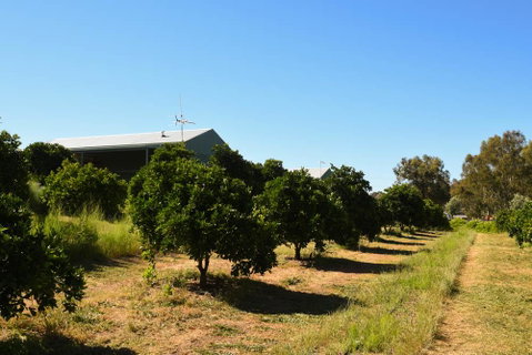 Swan Valley Sisters - Accommodation Coffs Harbour 29