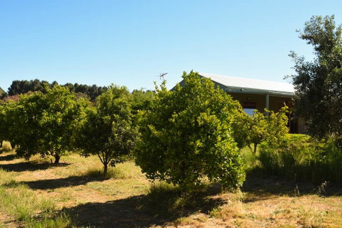 Swan Valley Sisters - Accommodation Coffs Harbour 30