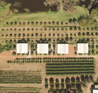 Swan Valley Sisters - Accommodation Coffs Harbour