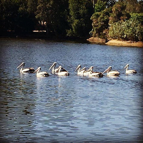 Swan Valley Sisters - Accommodation Coffs Harbour 31