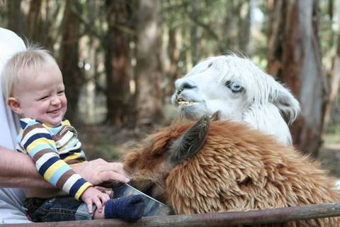 Margaret River Hideaway & Farmstay - Accommodation Coffs Harbour 21