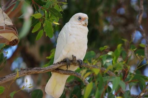 Margaret River Hideaway & Farmstay - Accommodation Coffs Harbour 26