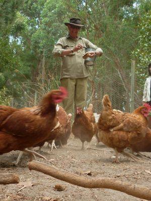 Margaret River Hideaway & Farmstay - Accommodation Coffs Harbour 28