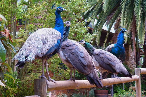 Margaret River Hideaway & Farmstay - Accommodation Coffs Harbour 19