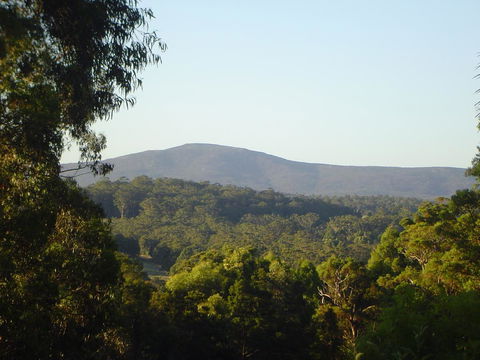 Kangaroo Valley Cottage - Accommodation Coffs Harbour 19