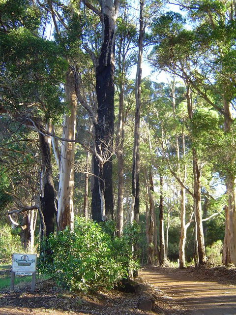 Kangaroo Valley Cottage - Accommodation Coffs Harbour 21