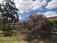 Book Cockburn Central Accommodation Vacations Accommodation Coffs Harbour Accommodation Coffs Harbour