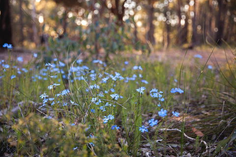 Amaroo Retreat & Spa - Accommodation Coffs Harbour 15