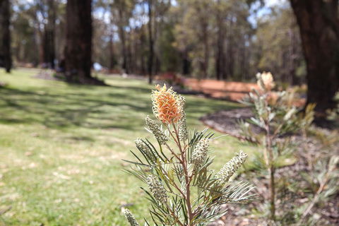 Amaroo Retreat & Spa - Accommodation Coffs Harbour 19