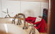 Esperance Foreshore Apartments - thumb 19