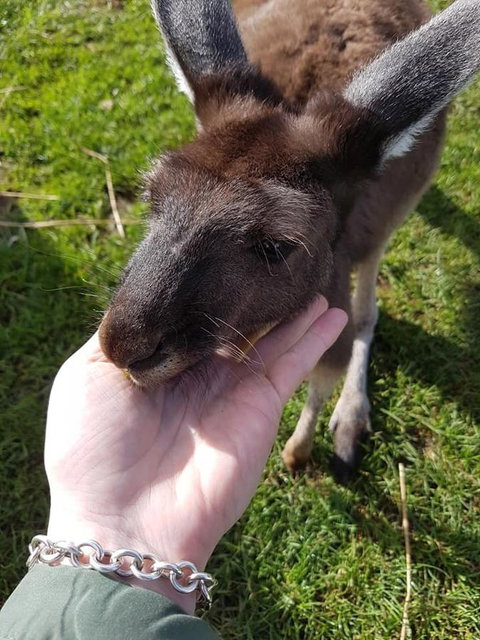 Balingup Highview Chalets - Accommodation Coffs Harbour 12