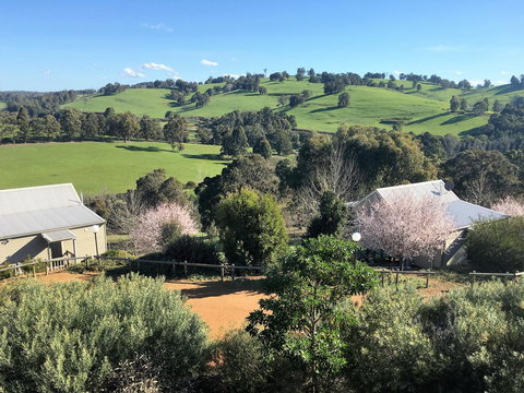 Balingup Highview Chalets - Accommodation Coffs Harbour 5