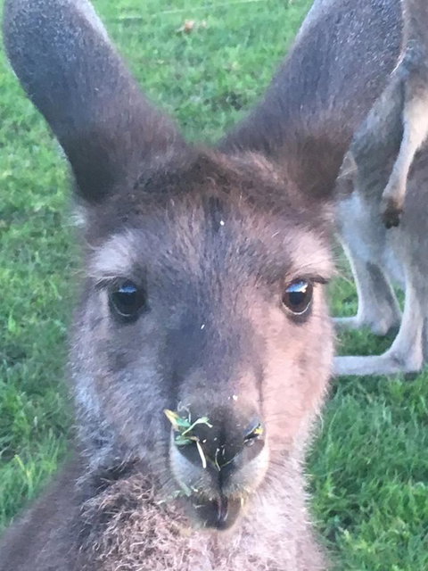 Balingup Highview Chalets - Accommodation Coffs Harbour 22