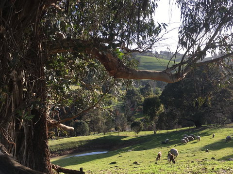 Balingup Highview Chalets - Accommodation Coffs Harbour 13