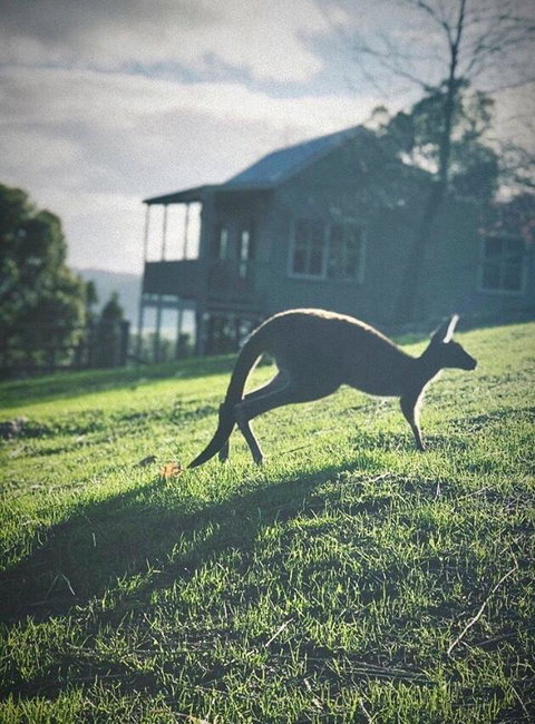 Balingup Highview Chalets - Accommodation Coffs Harbour 10