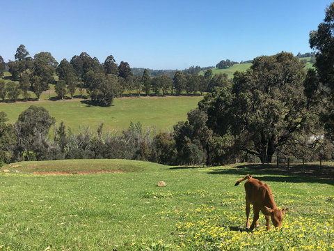 Balingup Highview Chalets - Accommodation Coffs Harbour 23