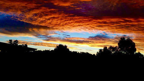 Balingup Highview Chalets - Accommodation Coffs Harbour 29