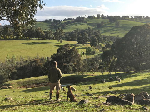Balingup Highview Chalets - Accommodation Coffs Harbour 27
