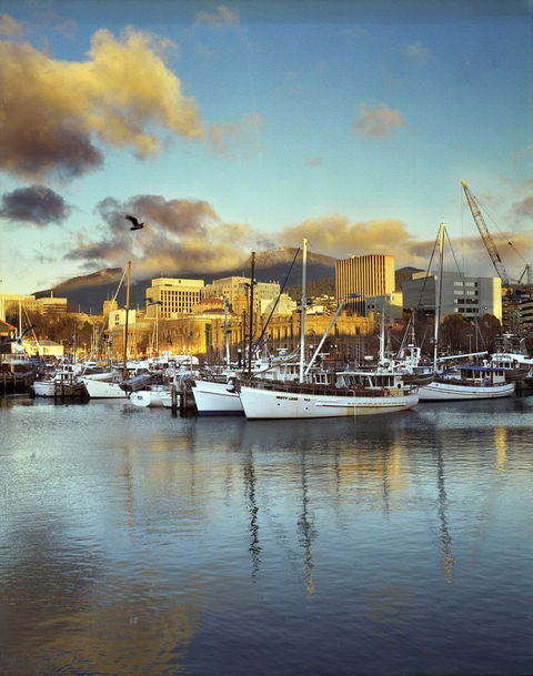 The Henry Jones Art Hotel - Accommodation Coffs Harbour 2