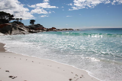 SEA EAGLE COTTAGE Amazing Views Of Bay Of Fires - Accommodation Coffs Harbour 14