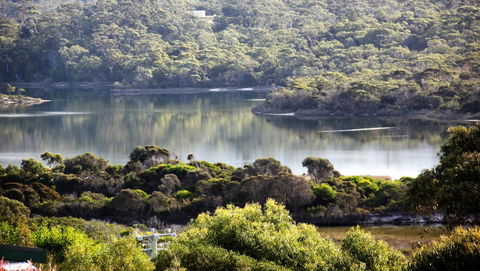 SEA EAGLE COTTAGE Amazing Views Of Bay Of Fires - Accommodation Coffs Harbour 17