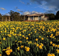 Mountain Blue Guest House - Accommodation Coffs Harbour