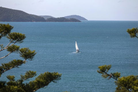 NEW Northcape 1 Ocean Front 2 Bedroom Choose Between 2 Properties - Accommodation Coffs Harbour 2