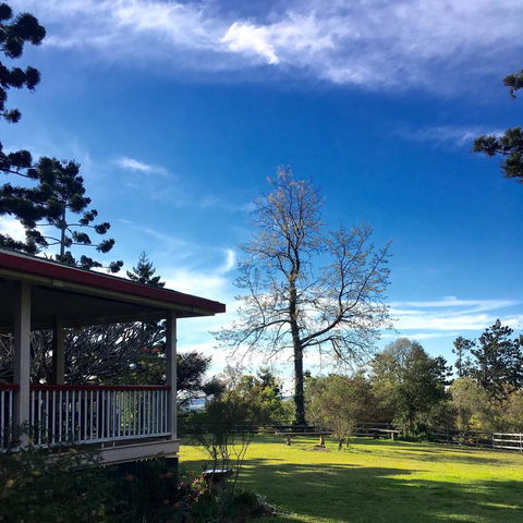 Pechey Homestead - Accommodation Coffs Harbour 3