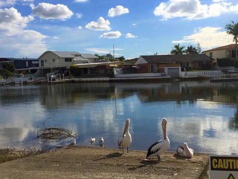 Pelican Cove Apartments - Accommodation Coffs Harbour 0