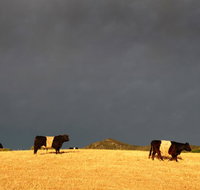 Peppertree Hill - Accommodation Coffs Harbour