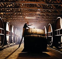 Pieter van Gent Winery  Vineyard - Accommodation Coffs Harbour