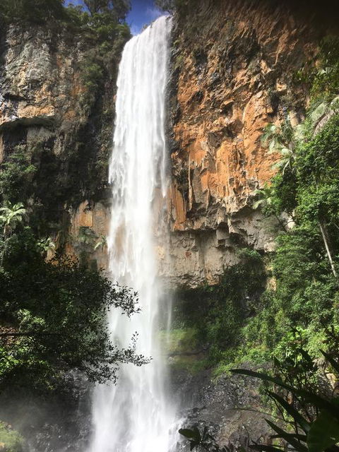Purling Brook Falls Gwongorella - Accommodation Coffs Harbour 0