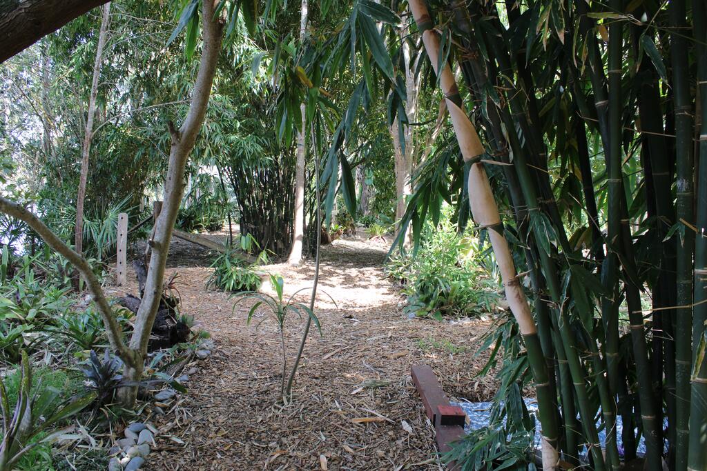 Bohnock NSW Accommodation Coffs Harbour