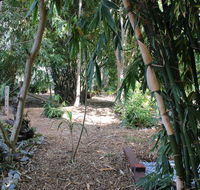 Rainforest Water Front River Shack Secluded. - Accommodation Coffs Harbour