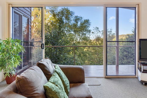 Ravensbourne Escape- Kookaburra Kottage - Accommodation Coffs Harbour 0