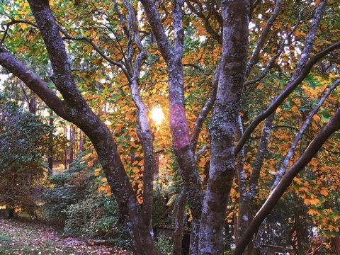 Rendezvous Nexus - Accommodation Coffs Harbour 3