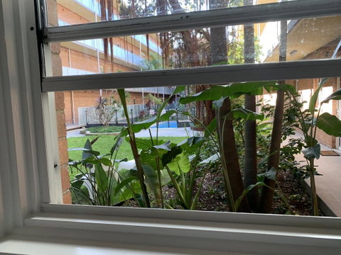 Sandyfoot@manly - Accommodation Coffs Harbour 2